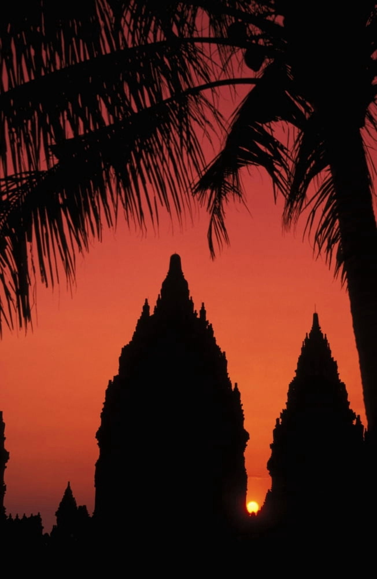 Indonesia Java Prambanan Silhouette Of Temple At Sunset With Palm Tree Canvas Art - Richard Maschmeyer Design Pics (11 x 18)