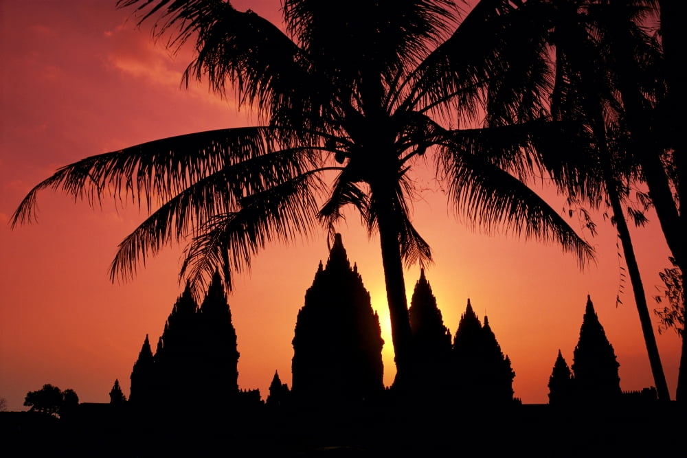 Indonesia Java View Of Palm Trees And Buildings Silhouetted At Sunset Canvas Art - Richard Maschmeyer Design Pics (19 x 12)