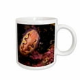 thumbnail image 1 of 3drose, Indonesia, Komodo Island, Nudibranch, Marine Life-as11 Swe0053 - Stuart Westmorland, 15oz Mug, 1 of 6