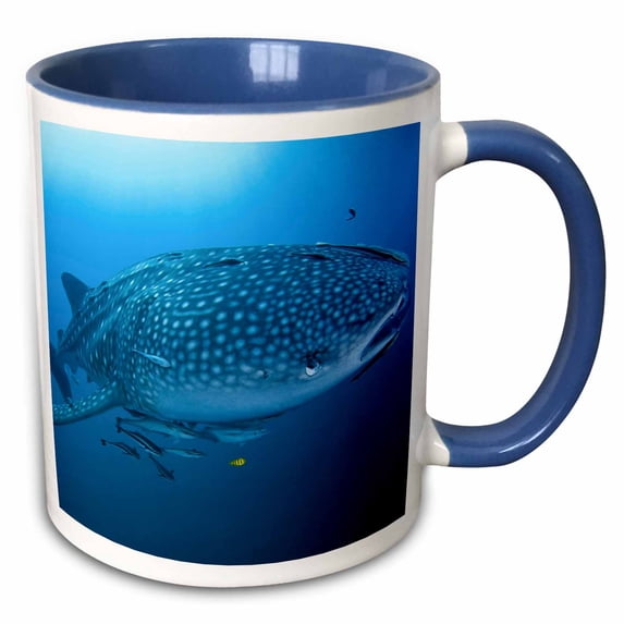 3drose, Indonesia, Papua, Cenderawasih Bay. Whale Shark and Remoras., 11oz Two-tone Blue Mug