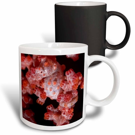3drose, Indonesia, Pygmy Seahorse, Seafans, Marine Life-as11 Bja0215 - Janyes Gallery, 11oz Magic Transforming Mug