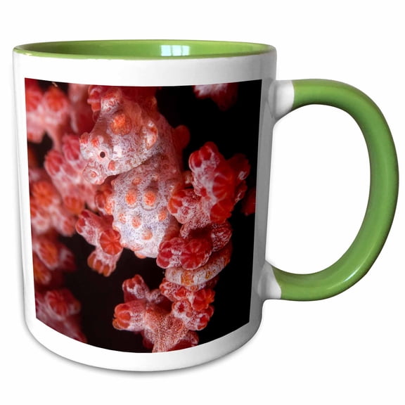 3drose, Indonesia, Pygmy Seahorse, Seafans, Marine Life-as11 Bja0215 - Janyes Gallery, 11oz Two-tone Green Mug