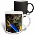 thumbnail image 1 of 3drose, Indonesia, Sulawesi, Blue Ribbon Eel Marine Life-as11 Mwe0248 - Michele Westmorland, 11oz Magic Transforming Mug, 1 of 7