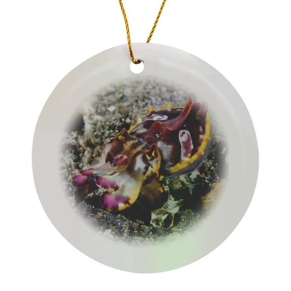3drose, Indonesia, Sulawesi, Pfeffers Flamboyant Cuttlefish -as11 Bja0058 - Janyes Gallery, Circle Porcelain Ornament
