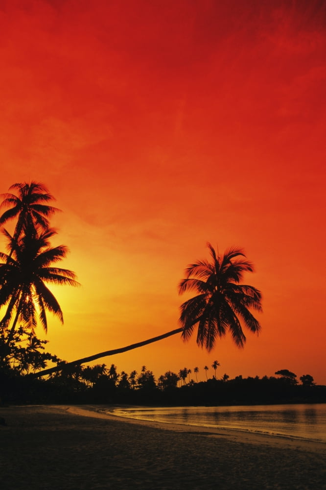 Indonesia Tourist resort and beach at sunset Bintan Island Canvas Art - Richard Maschmeyer Design Pics (22 x 34)