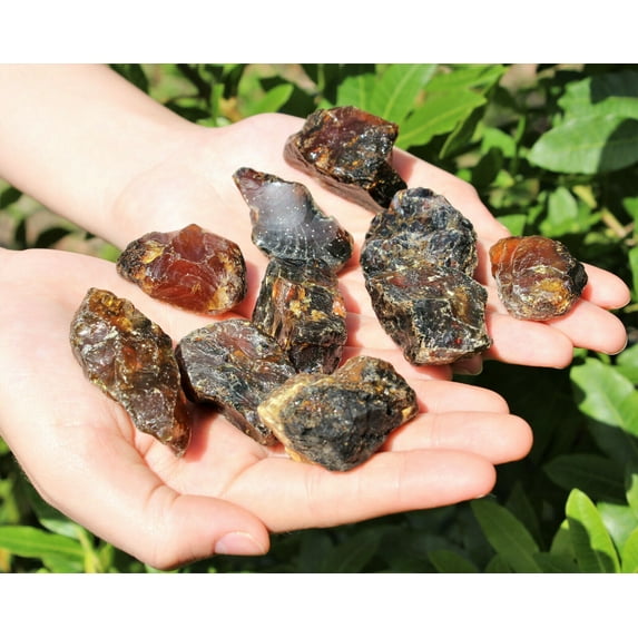 Indonesian Raw Amber - Choose How Many (Natural Rough Black Amber Crystals)