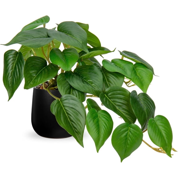 Indoor 8 Inch Artificial Pothos in Black Ceramic Pot - Faux Potted Pothos for Aesthetic Decor Living Room Shelf Office