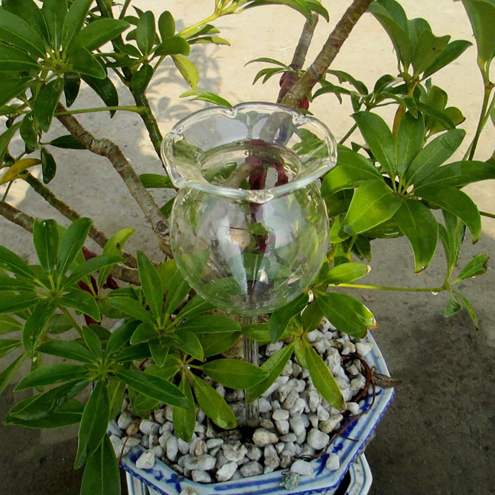 Indoor Automatic Flower Glass Garden Watering Device Sprinkler Flower