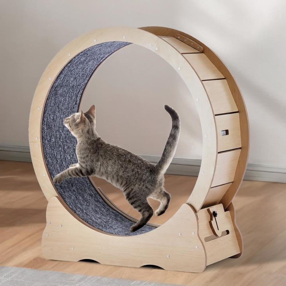 Indoor Cat Exercise Wheel, 35.8 in Cat Treadmill Wheel with Detachable ...