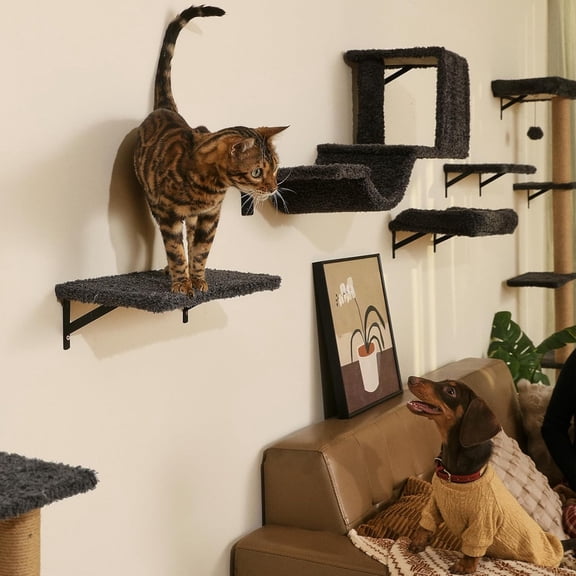 Indoor Cat Wall Shelves 4-in-1, Safe & Durable Wooden Cat Climbing Wall with Scratching Post, Multi-Level Cat Furniture for 16" Drywall, Gray
