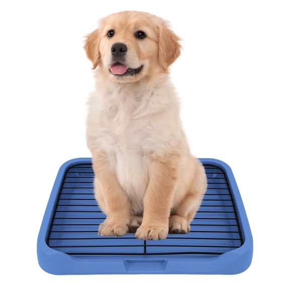 Indoor Dog Potty Tray with Mesh Litter and Removable Stable Structure for Puppy Toilet Training Pad Holder