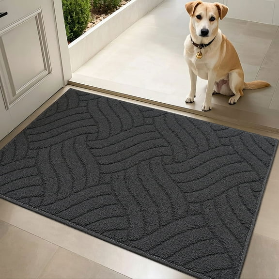 FloorHug Indoor Door Mat, 20"x 32", Non Slip Low-Profile Entrance Rug, Front Inside Doormats Dirt Trapper Entry Door Rugs for Entryway, Dark Grey