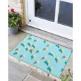 Indoor Door Mat Summer Ice Cream Aqua Outside Non slip Doormats Mats