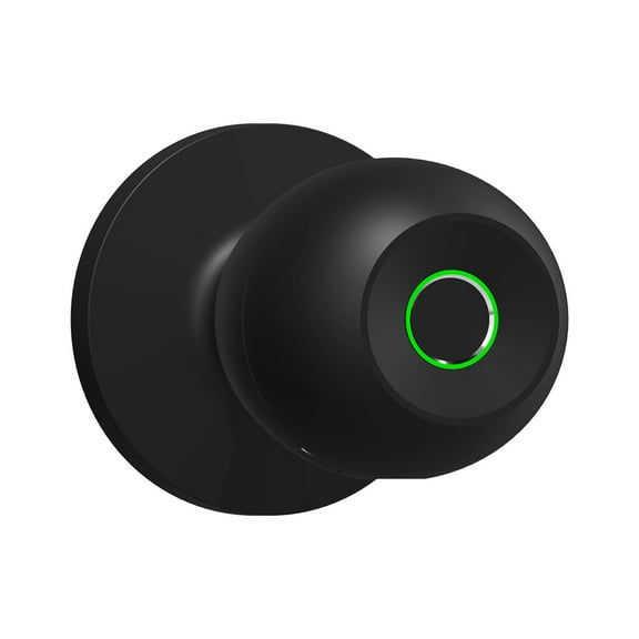 Indoor Fingerprint Lock, Household Wooden Door Ball Lock, Electronic Lock, Universals Door Lock, Convenient for Daily Use, Security Protection Door Lock(Black)