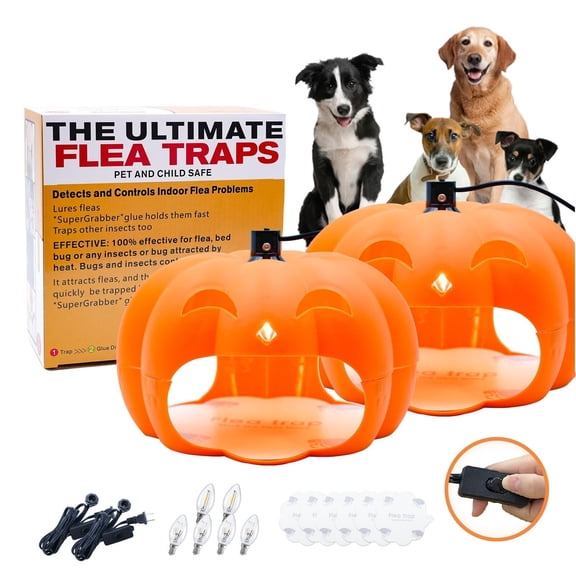 Indoor Flea & Bed Bug Trap Light Attractant & Sticky Glue Discs | Includes 6 Refills & 6 Bulbs | Natural Non-Chemical Pest Control
