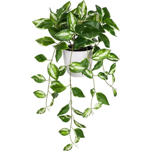 Indoor Greenery Realistic Faux Trailing Artificial Potted in Black Pot White N' Joy Leaf Houseplant for Living Room Table Kitchen Counter Shelf