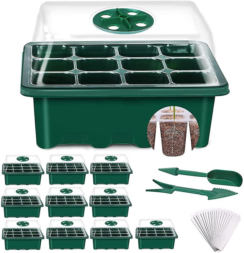 Indoor Greenhouse Propagation Box Mini Greenhouse Propagation Set