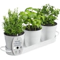 thumbnail image 1 of Indoor Herb Garden Planter Set with Tray, Metal Windowsill Plant Pots with Drainage for Outdoor or Indoor Plants, Set/3 (Black), 1 of 5