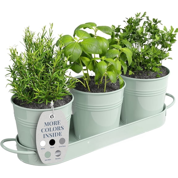 Indoor Herb Garden Planter Set with Tray, Metal Windowsill Plant Pots with Drainage for Outdoor or Indoor Plants, Set/3 (Soft Mint)