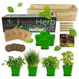 Grow-Your-Own Salsa Garden Kit from Ferry-Morse Seeds