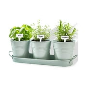 Indoor Herb Planter Set - Galvanized Windowsill Garden Pots with Tray & Drainage, Set of 3 Metal Window Planters for Kitchen & Outdoor Use, Light Green