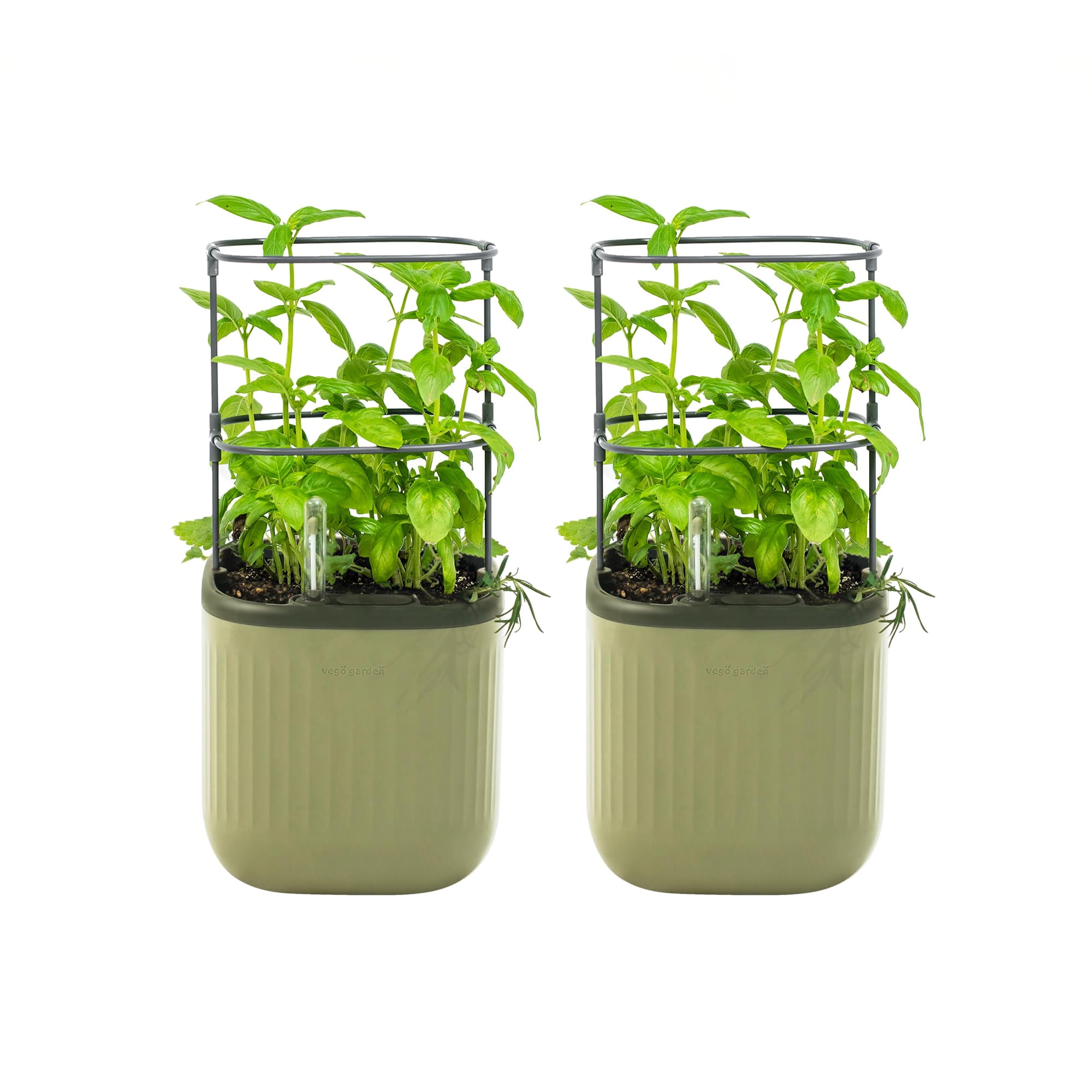 Indoor Herb Planter with Trellis, Self Watering Mini Garden Pots for ...