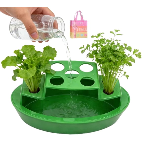 Indoor Herb Planter for Green Onions - Self Watering Vegetable Planter Box to Regrow Scallions, Kitchen Windowsill or Balcony Garden(XX)