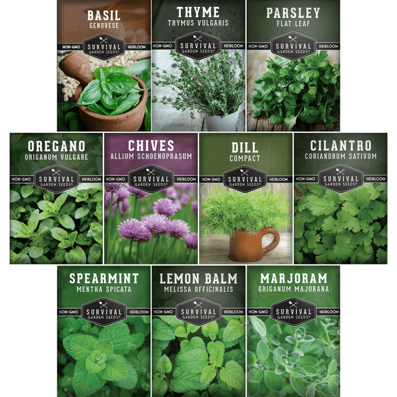Indoor Herb Seeds 10 Variety Pack | Perennial Herbs - Full Sun