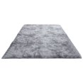 thumbnail image 1 of Indoor Modern Area Rug for Living Room Bedroom Home Decor - Super Soft Faux Fur Rectangular Floor Mat with Non-Slip Backing, Machine Washable, 23.62in × 47.24in, 1 of 5