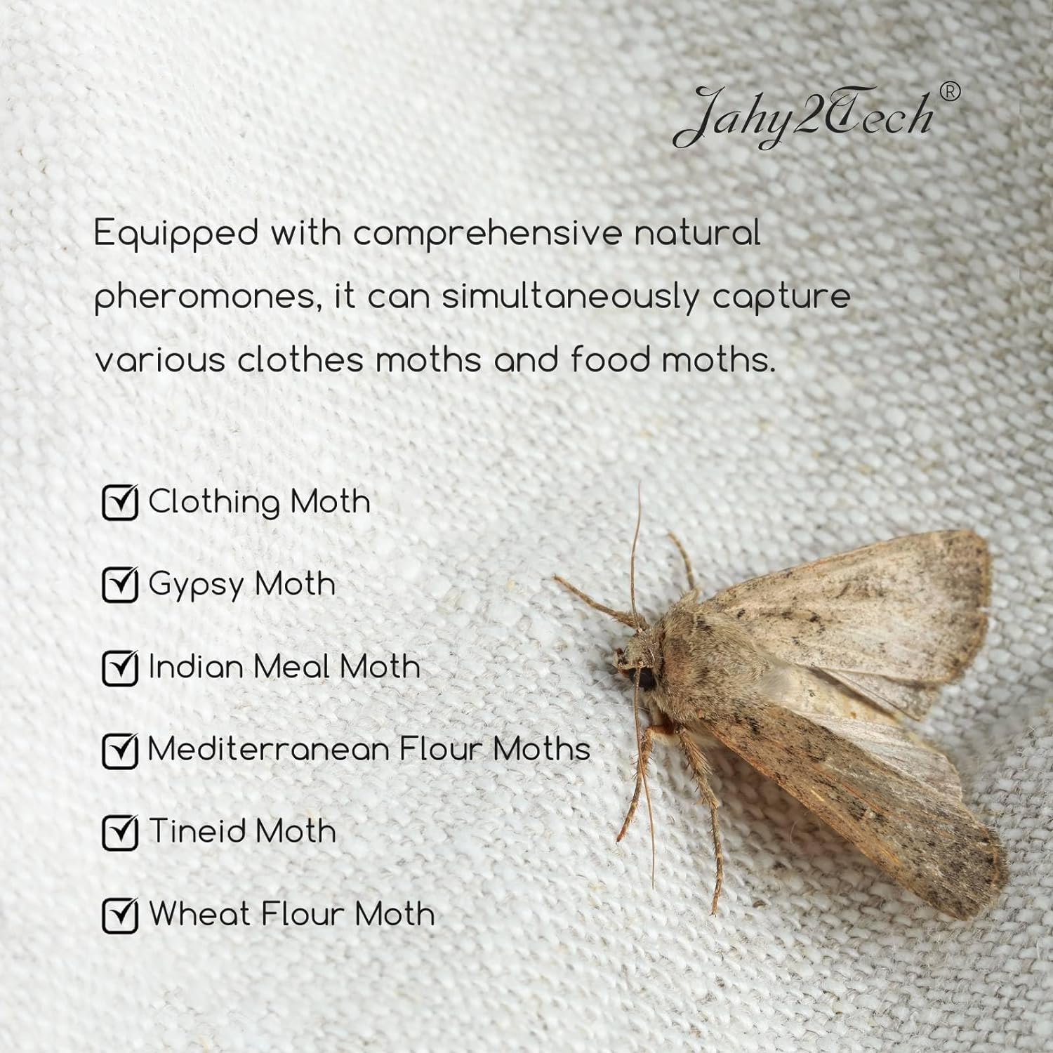 Indoor Moth Exterminator Dualpurpose Trap, Safeguards Closets