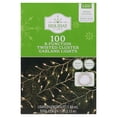Indoor/Outdoor 100-Count Battery-Operated LED 8-Function Twisted ...