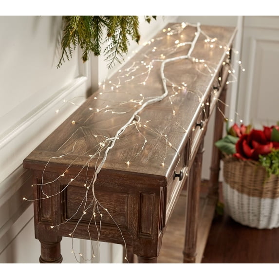 Indoor/ Outdoor 5' Plug-in Birch Light Strand by Valerie