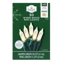 Indoor/Outdoor 50-Count LED 8-Function G12 Christmas String Lights ...