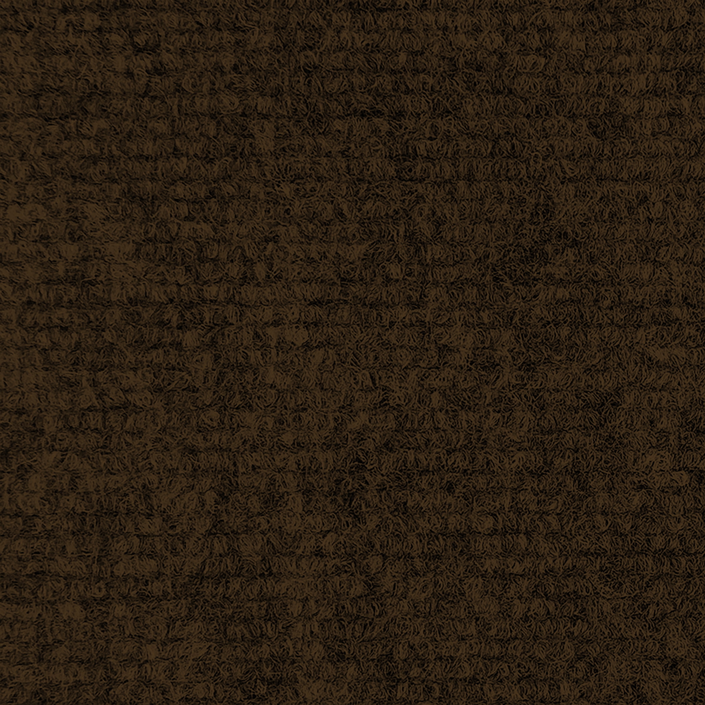 Indoor/Outdoor Carpet with Rubber Marine Backing Dark Brown 6' x 10' Several Sizes Available