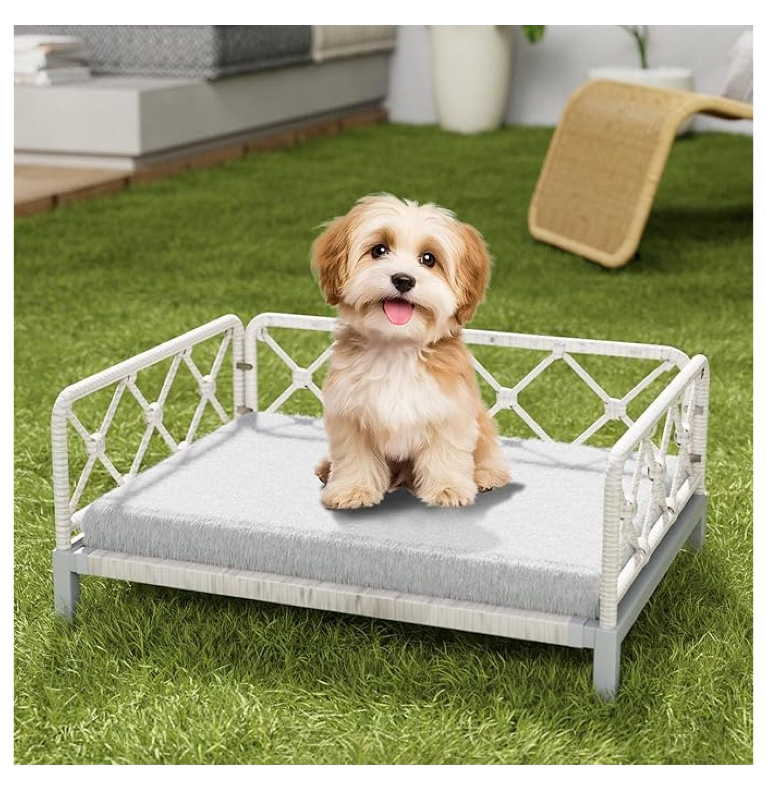 Indoor & Outdoor Dog Bed, Elevated All-Weather Wicker Pet Sofa with Washable Waterproof Cushion, Durable Rattan Dog Couch for Small Dogs, White Rattan/Grey Mat