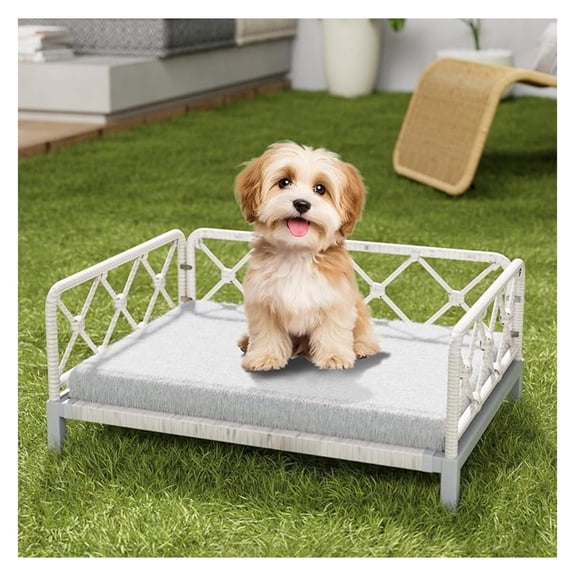 Indoor & Outdoor Dog Bed, Elevated All-Weather Wicker Pet Sofa with Washable Waterproof Cushion, Durable Rattan Dog Couch for Small Dogs, White Rattan/Grey Mat