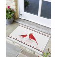 Indoor Outdoor Mats, Red Bird Illustration Door Mat, NonSlip Absorbent