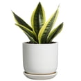 thumbnail image 1 of Ordivic 5-inch White Ceramic Round Planter with Drainage Hole and Saucer for Succulents and Cactus, 1 of 9