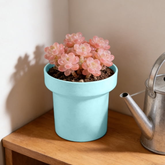 Indoor Plant Pots, Mini Desktop Flower Pot For Succulents And Cacti, Plastic Round Simple Design