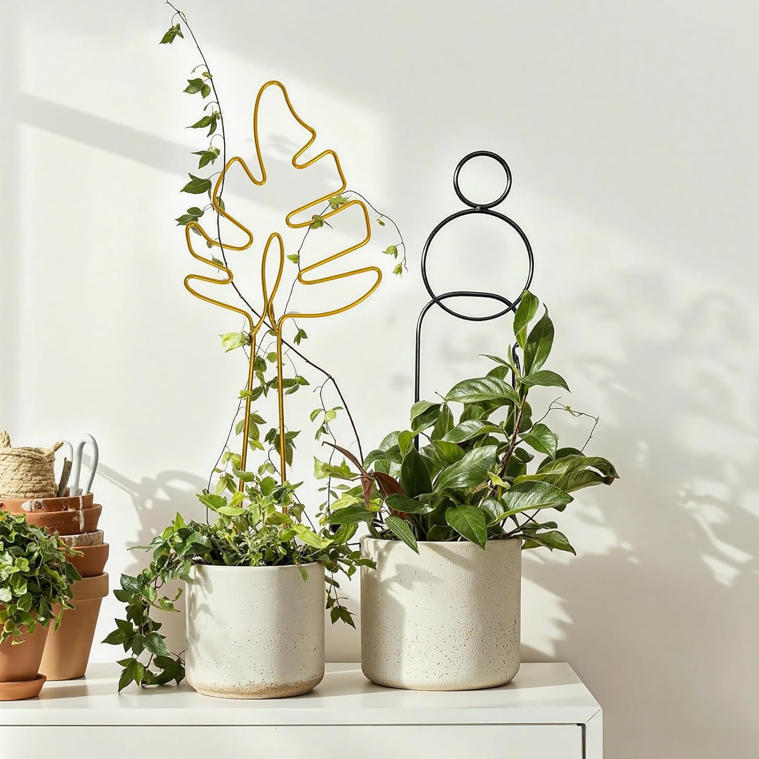 Indoor Plant Trellis for Climbing Plants Outdoor, 2 Pack Small Plant ...
