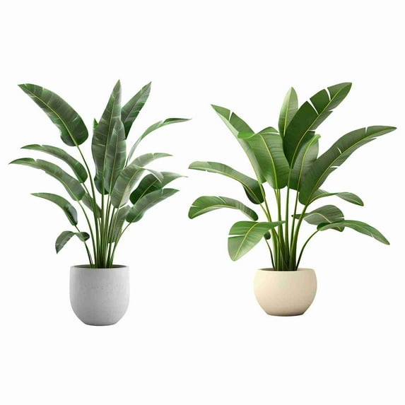 Indoor Plant Vinyl Wall Sticker | Green Leaf Peel & Stick Wall Décor | Removable Botanical Art for Modern Home Walls | Size 91 cm by 45 cm