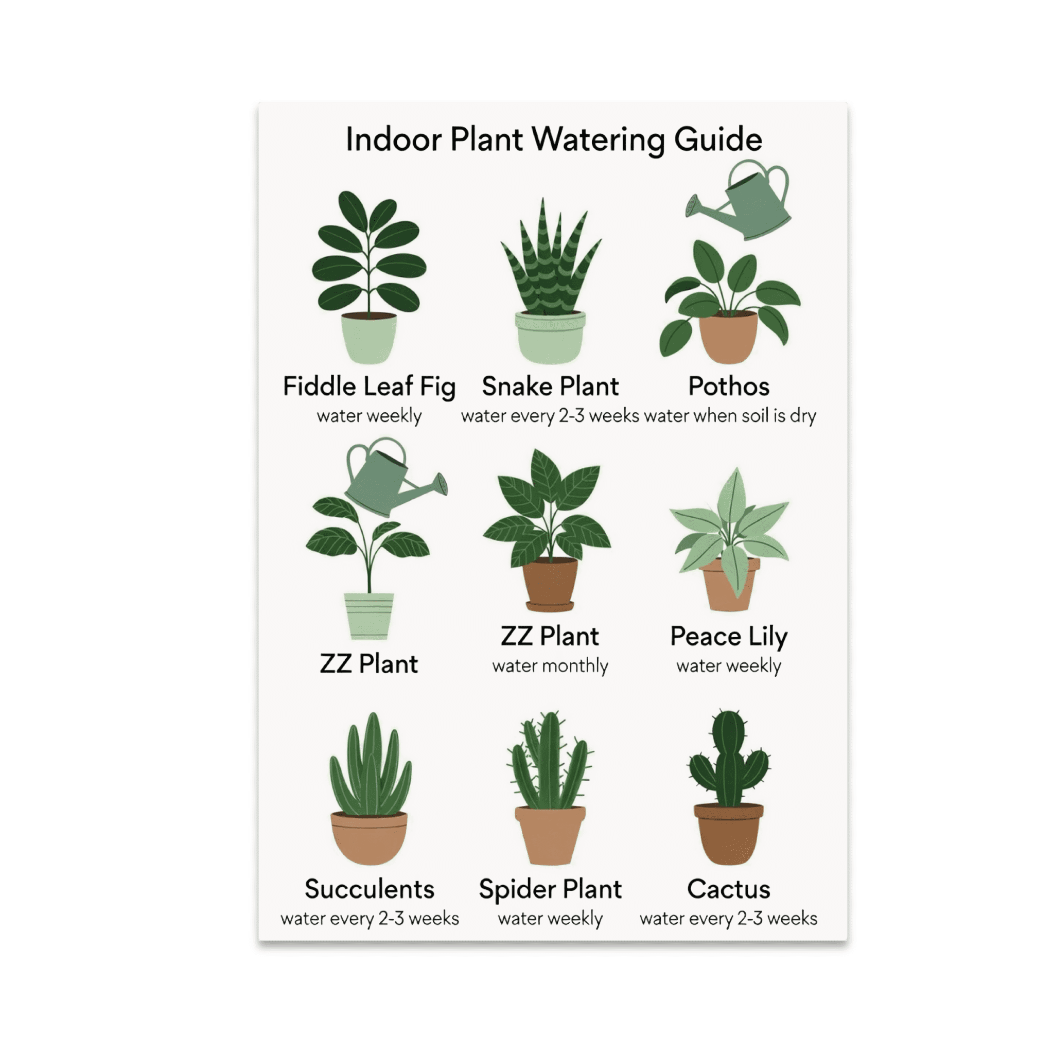 Indoor Plant Watering Guide Chart - Plant Enthusiast - 13x19 Poster Print