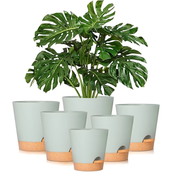 Self Watering Planters