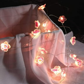 Indoor String Lights Fairy String Lights 10FT 30 LEDs Wire Battery Powered String Lights Decoration for Valentine's Day Mothers day Wedding Nursery Girls Bedroom Decor