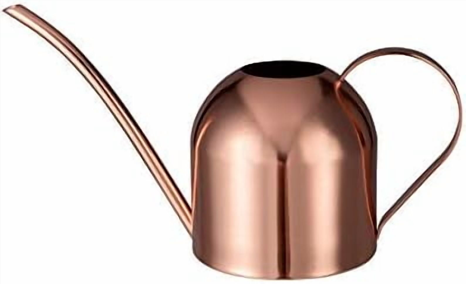 Indoor Watering Can for House Plants 33oz/1L Stainless Steel Watering Can with Long Spout (Rose Gold)