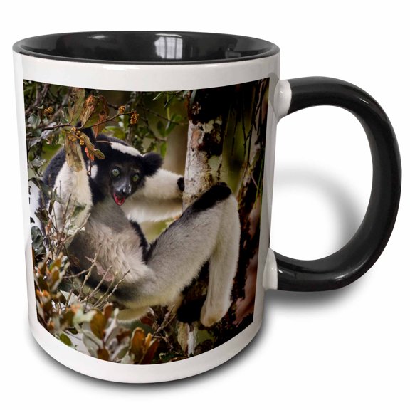 3drose, Indri Lemur in a Tree, Madagascar, 11oz Two-tone Black Mug