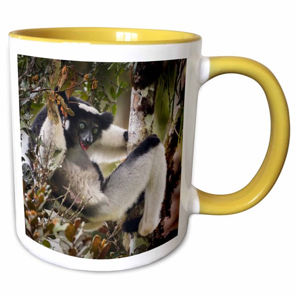 3drose, Indri Lemur in a Tree, Madagascar, 11oz Two-tone Yellow Mug
