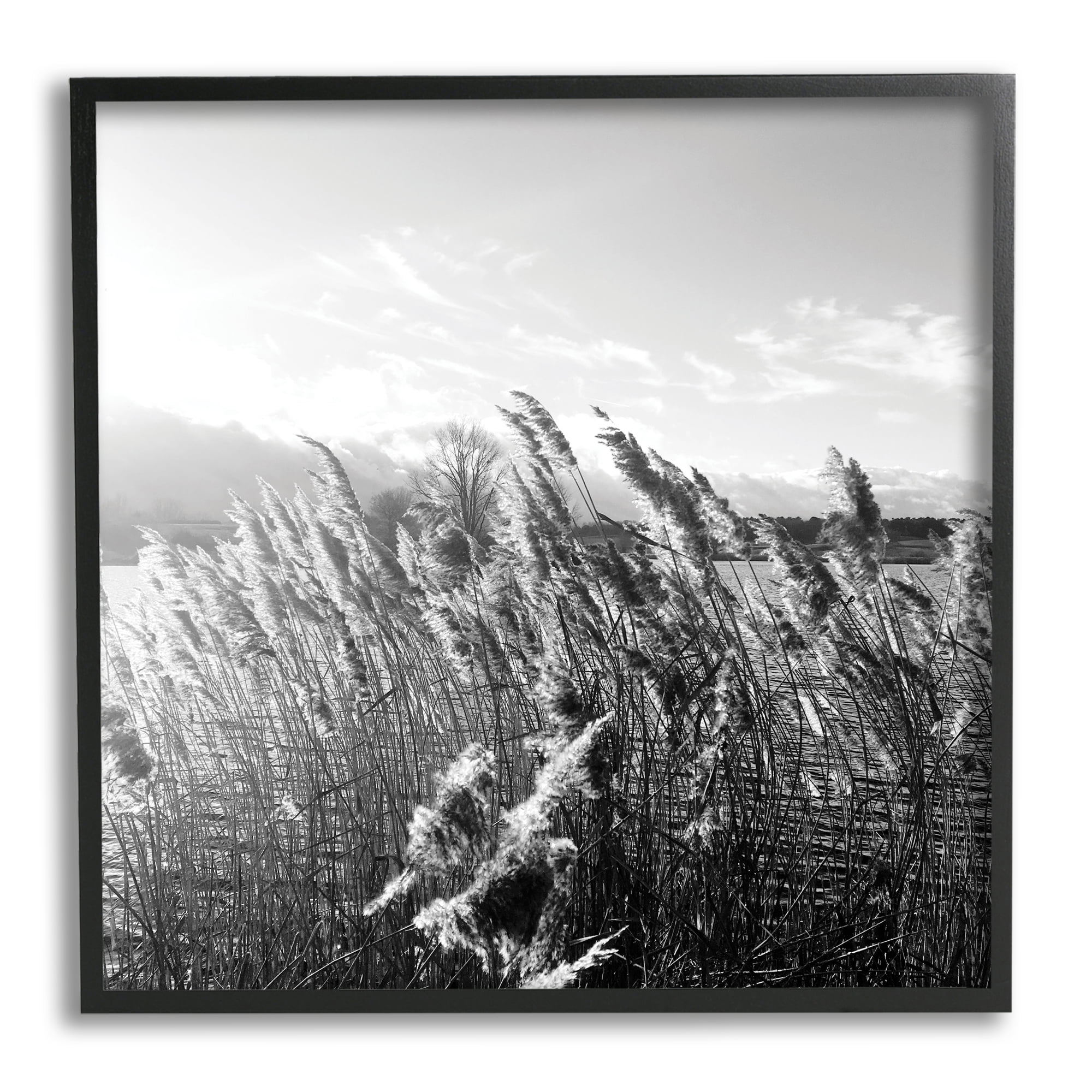 Indtries Tall Grass Lake Water Landscape Black White 12 in x 12 in Framed Photography Art Prints, by Stupell Home Décor