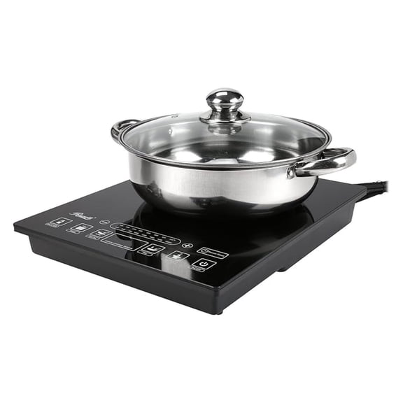 Induction Cooker 1800 Watt, 5 Pre-Programmed Induction Cooktop, Electric Burner with Stainless Steel Pot 10" 3.5 QT 18-8, RHAI-15001