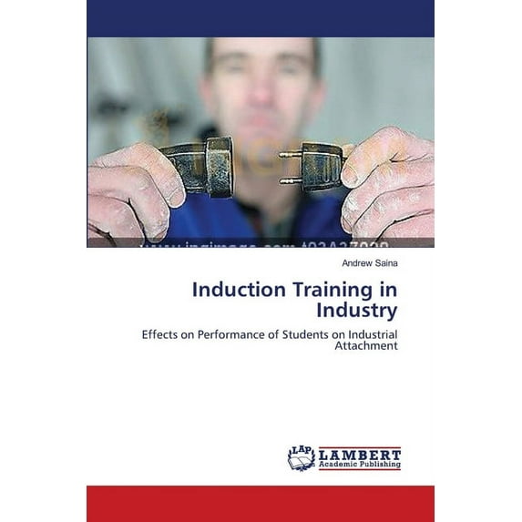 Induction Training in Industry (Paperback)